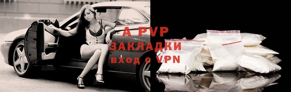 эйфоретик Бердск
