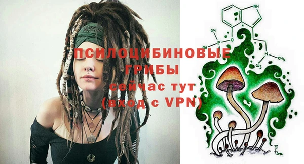 молекула духа Магас