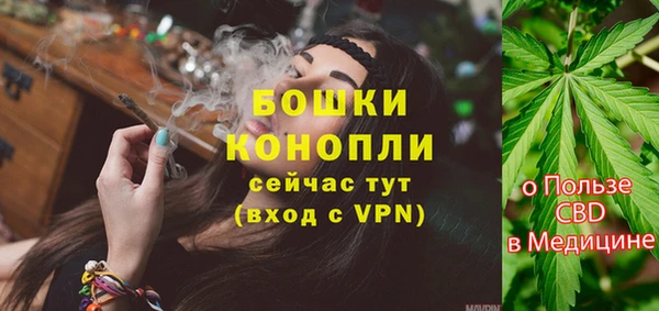 молекула духа Магас