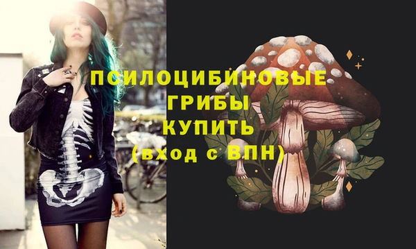 мдпв Магадан