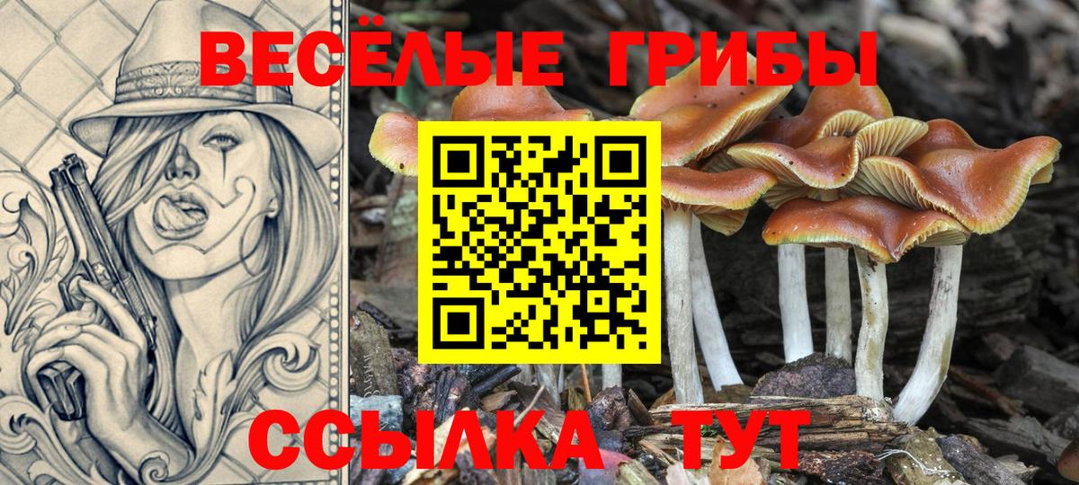 Галлюциногенные грибы мицелий Фрязино