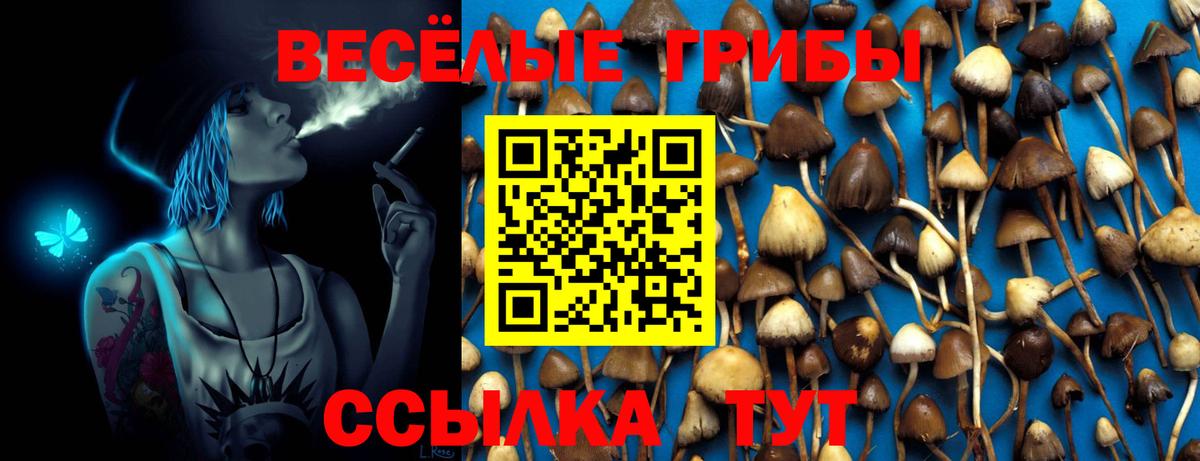Галлюциногенные грибы Magic Shrooms  Вход с VPN  Псилоцибиновые грибы ЛСД  Фрязино 